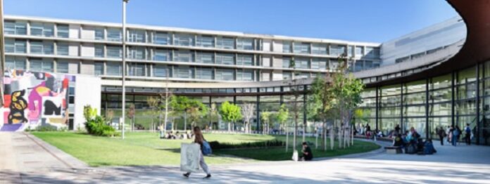 universidad politecnica