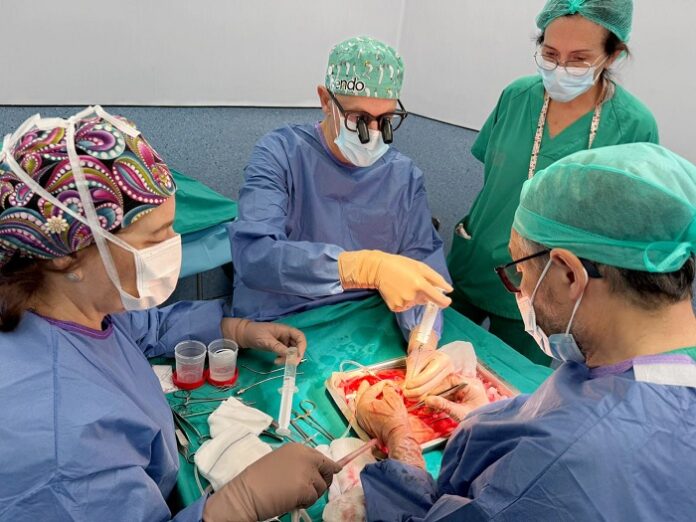 hospital Doctor Peset