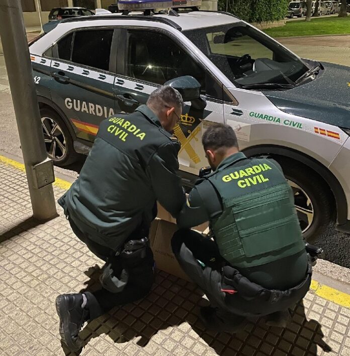 guardia civil