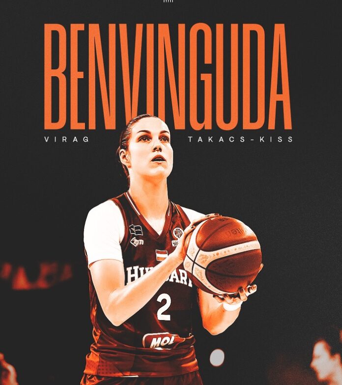 valencia basket