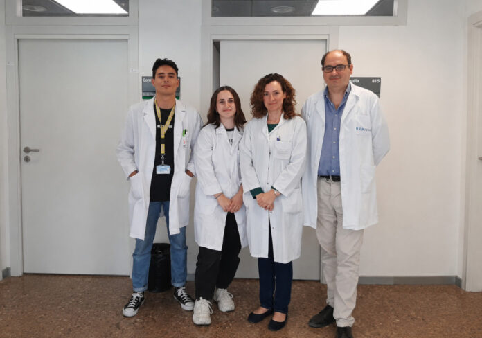 investigación