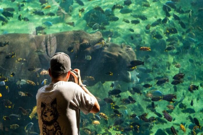 Bioparc