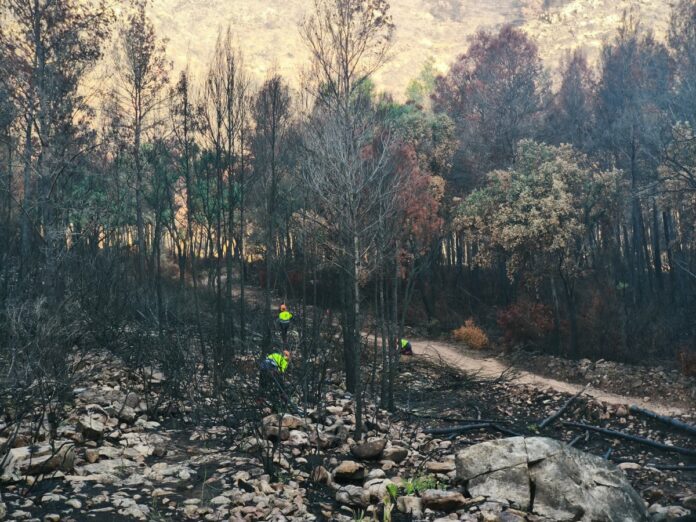 incendio