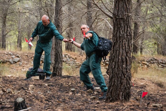 incendio Tuejar
